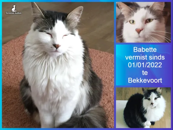 Babette