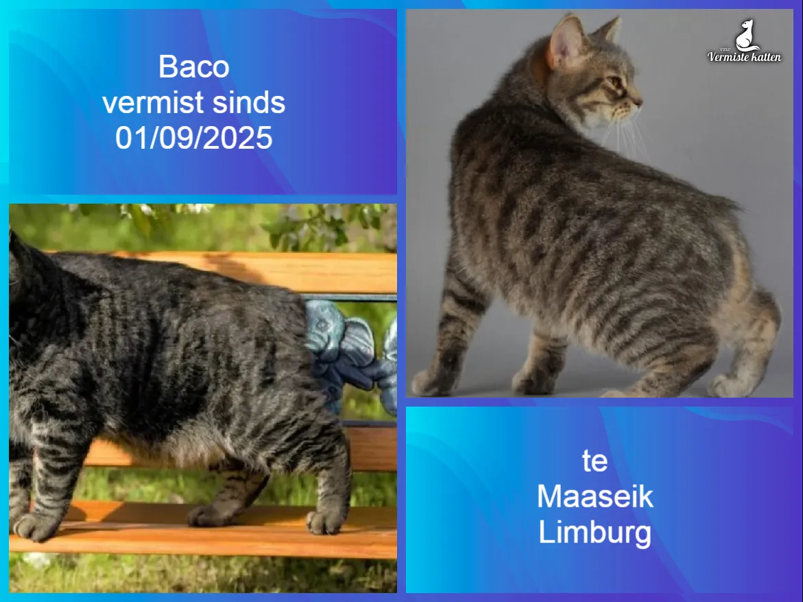Baco