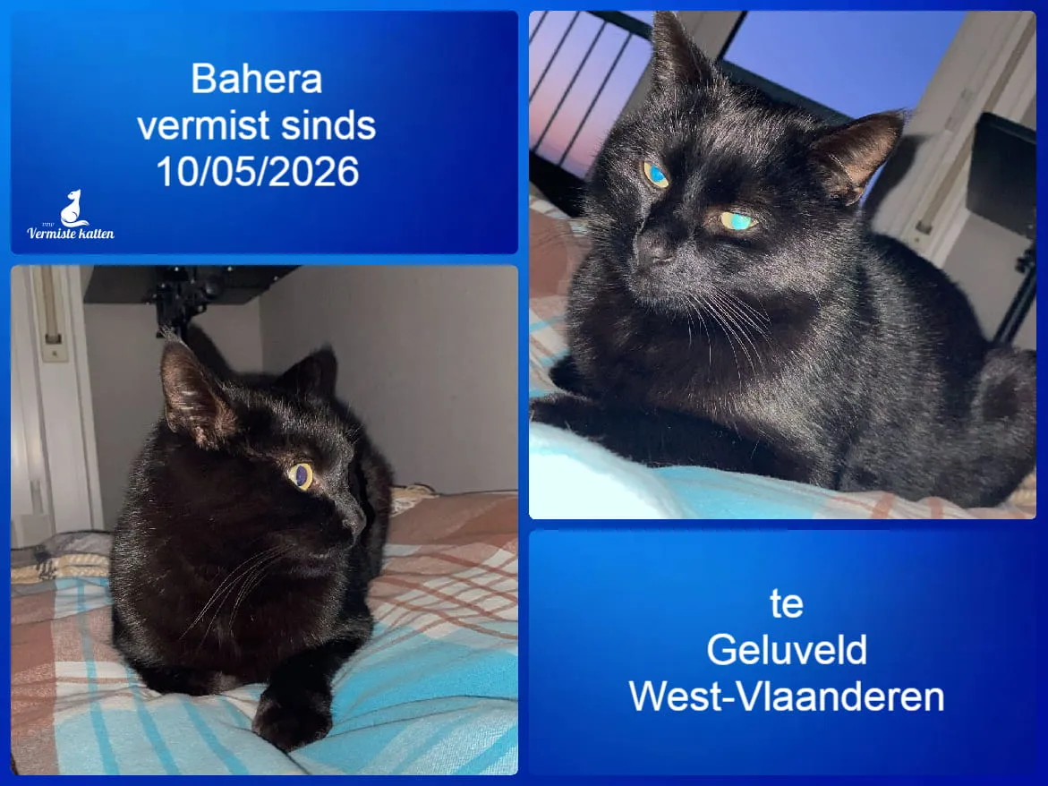 Bahera