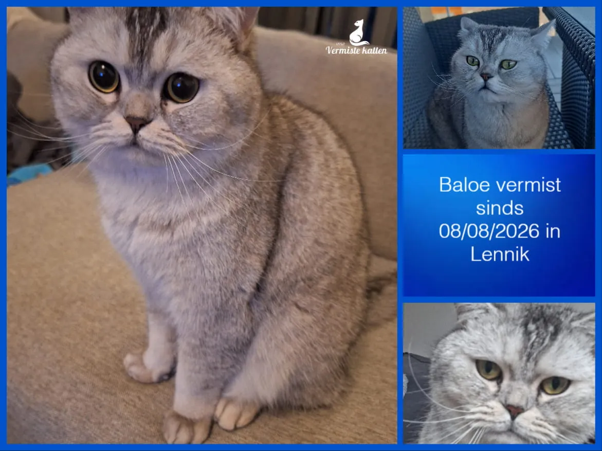 Baloe