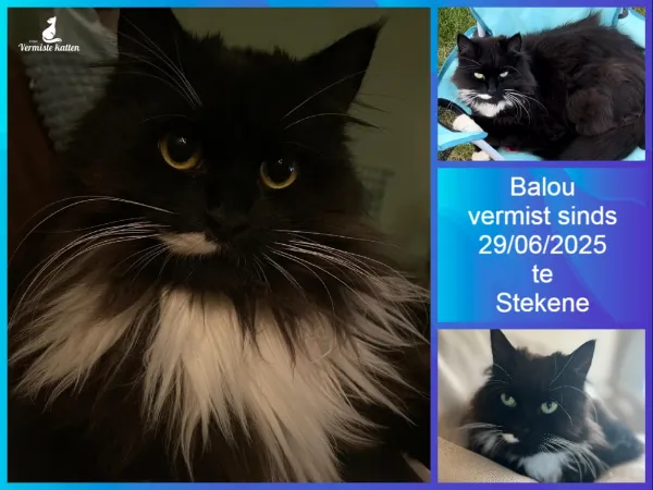 Balou