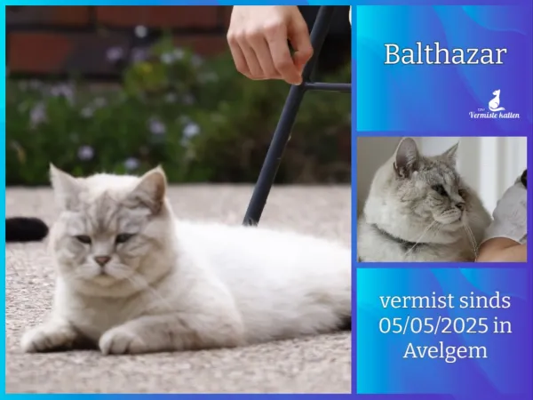 Balthazar