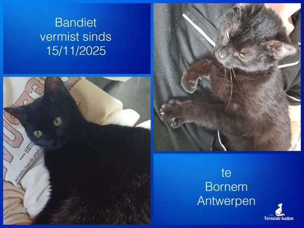Bandiet