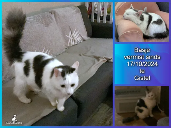 Basje
