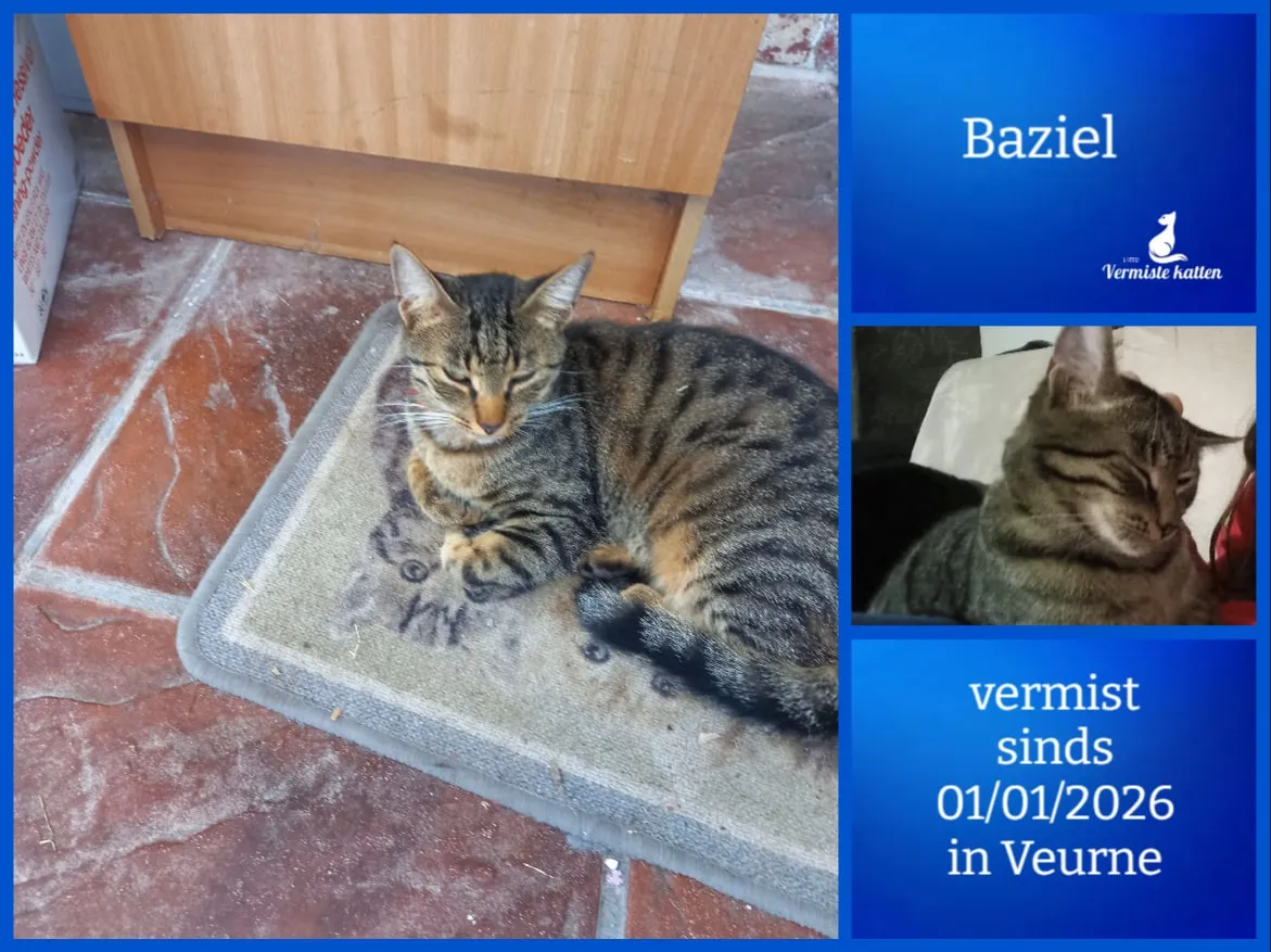 Baziel