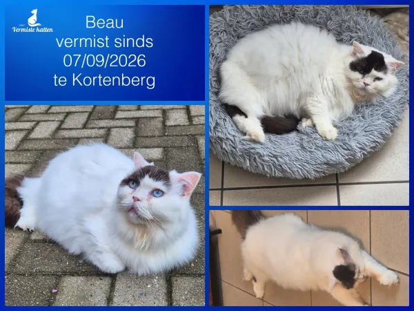 BEAU