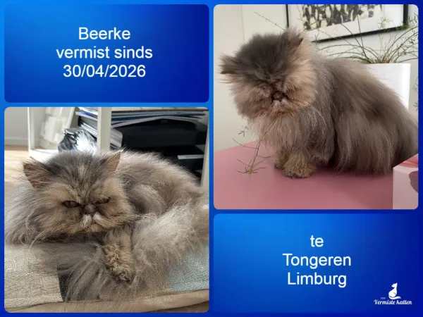 Beerke