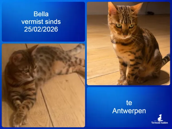 Bella