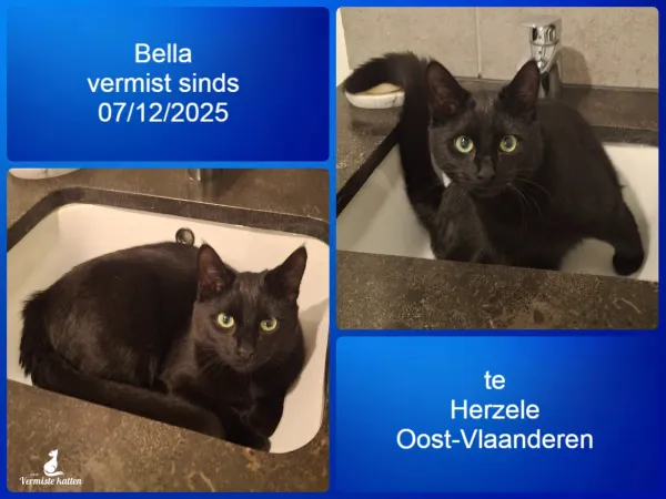 Bella
