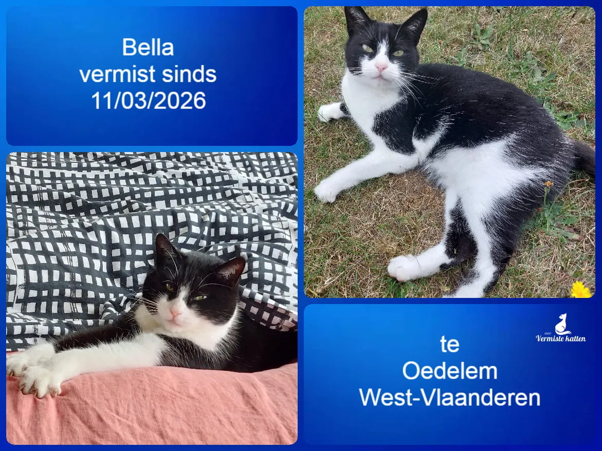 Bella