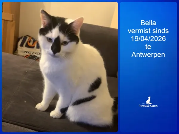 Bella