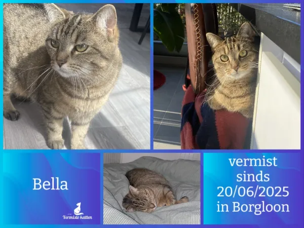Bella