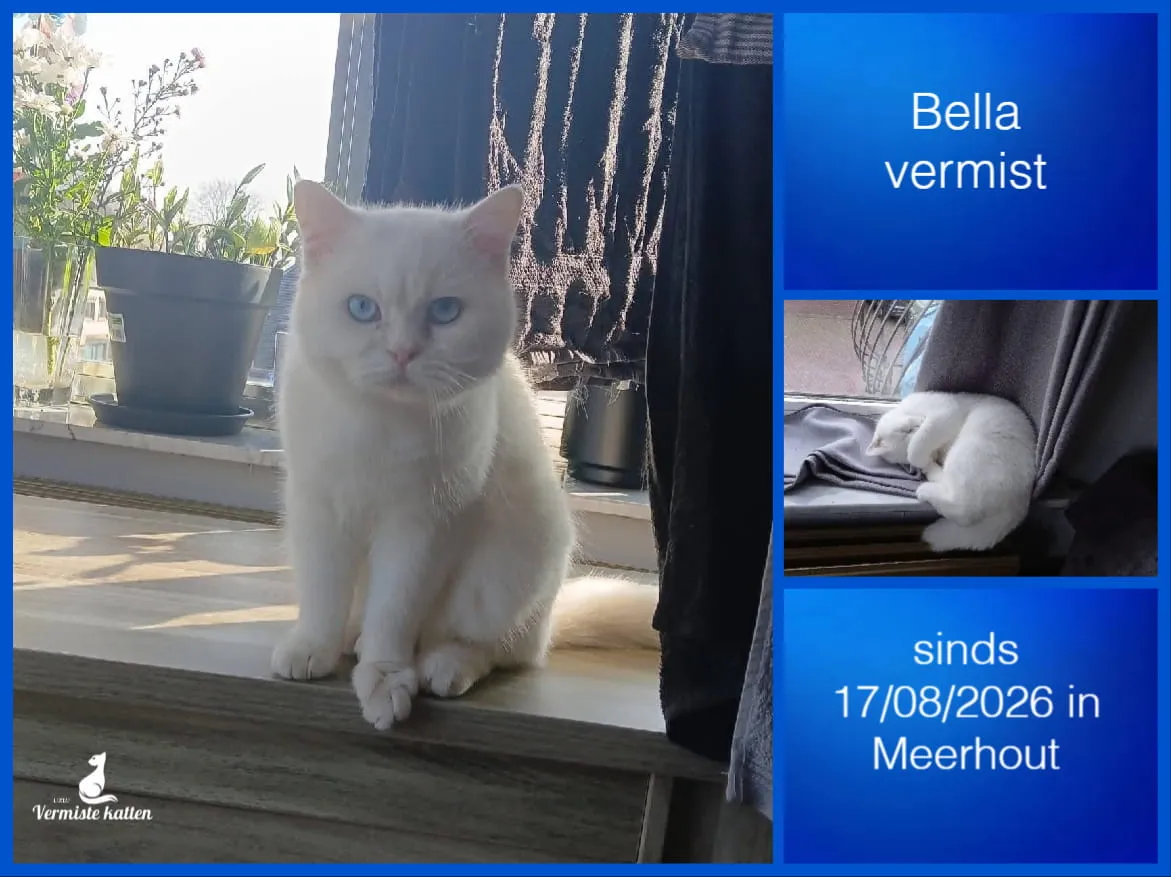 Bella