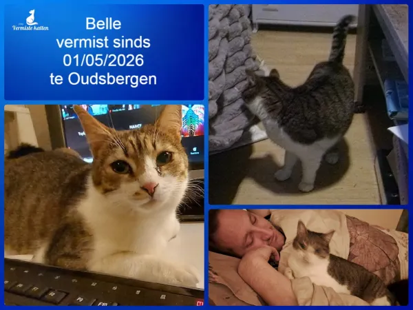 Belle