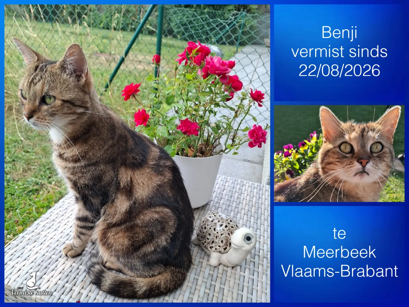 Benji