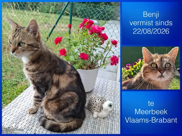 Benji