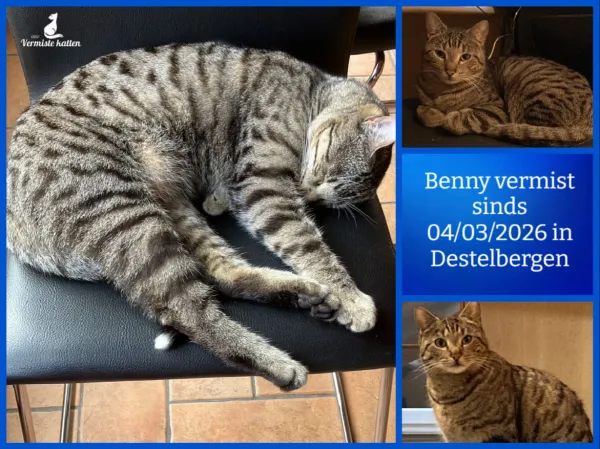 Benny