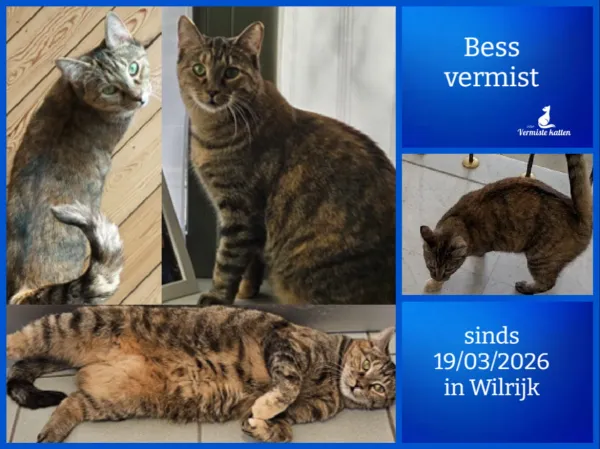 Bess