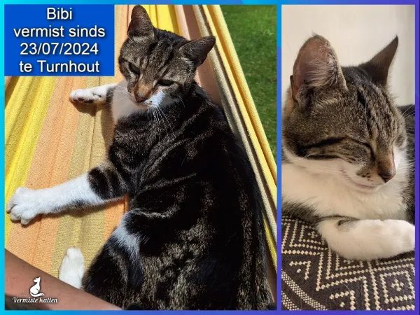 Bibi