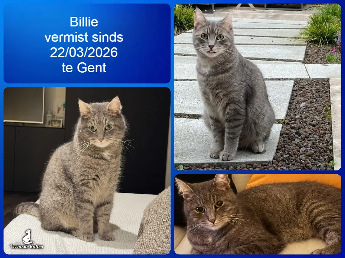 Billie