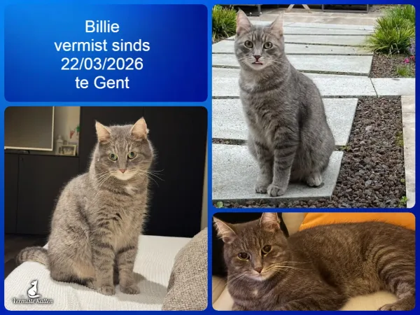 Billie