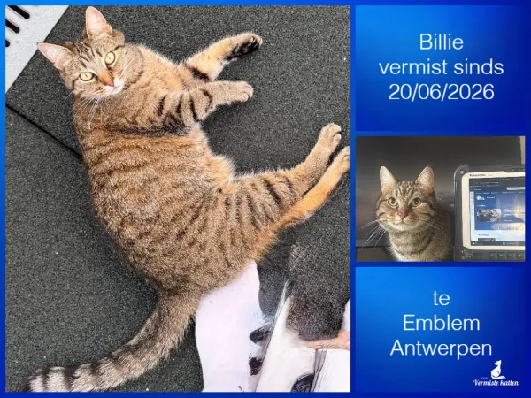 Billie