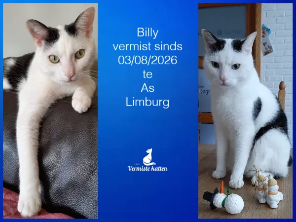 Billy