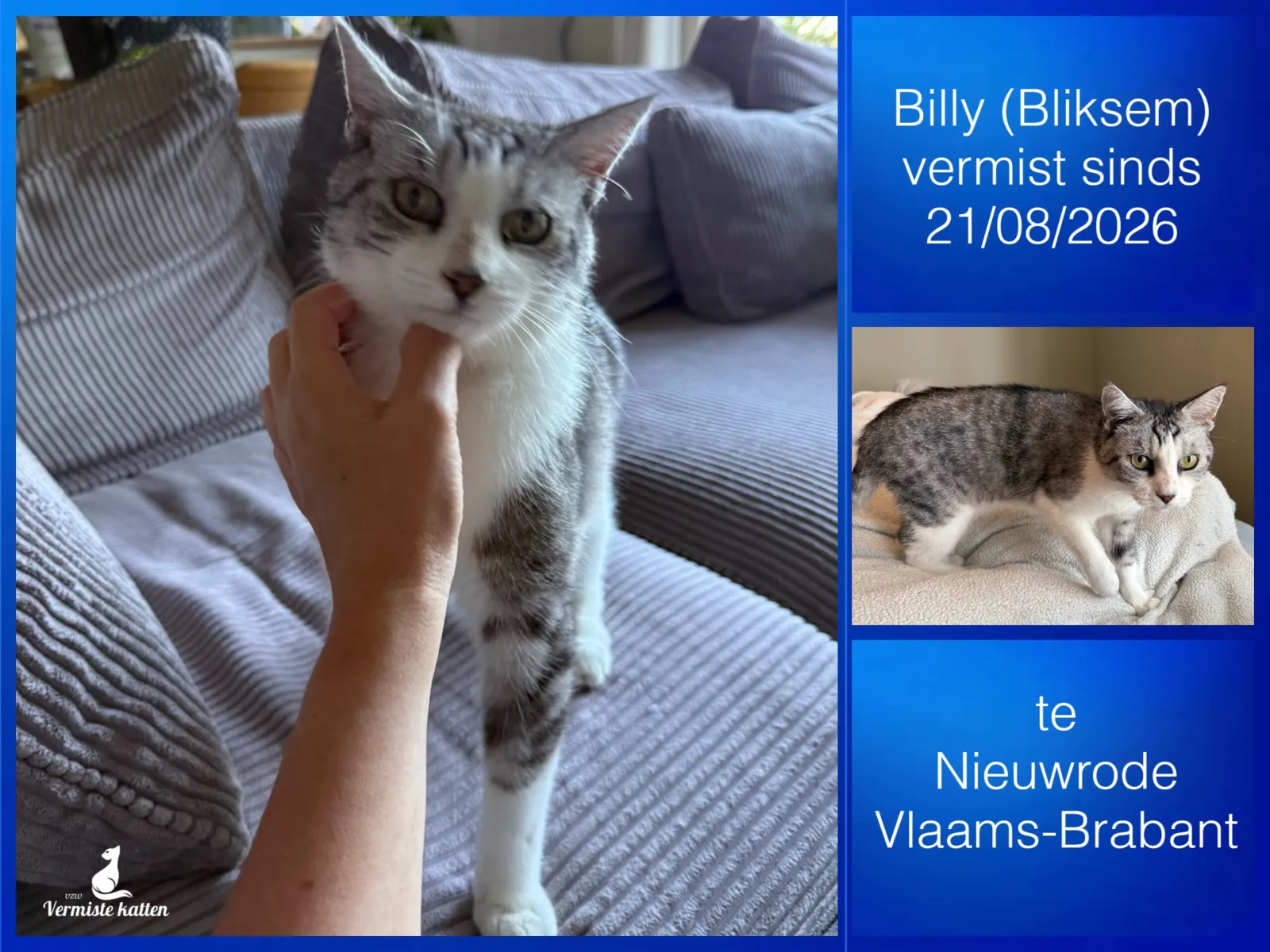 Billy (aka Bliksem)