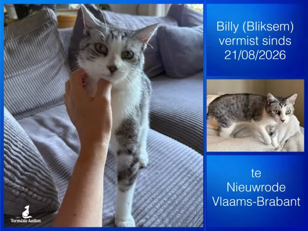 Billy (aka Bliksem)