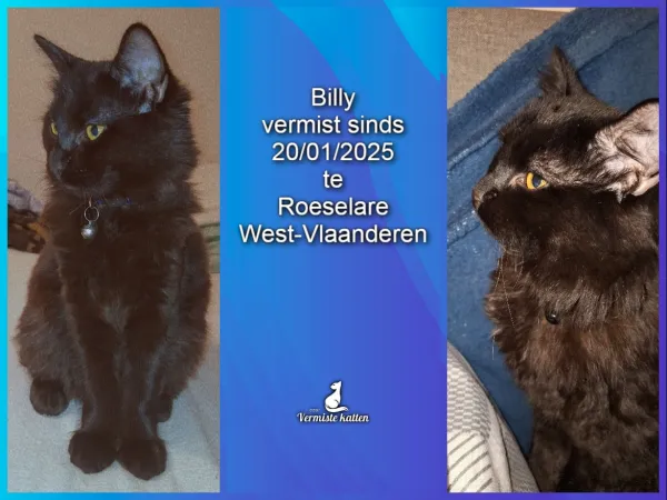 Billy