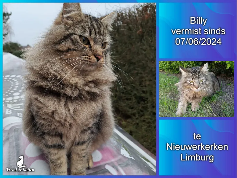 Billy