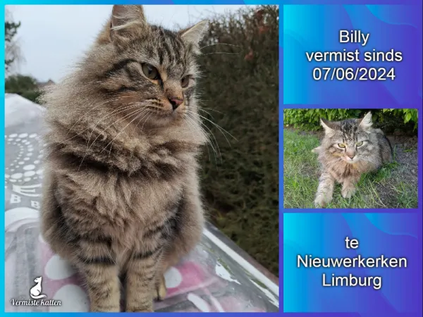 Billy