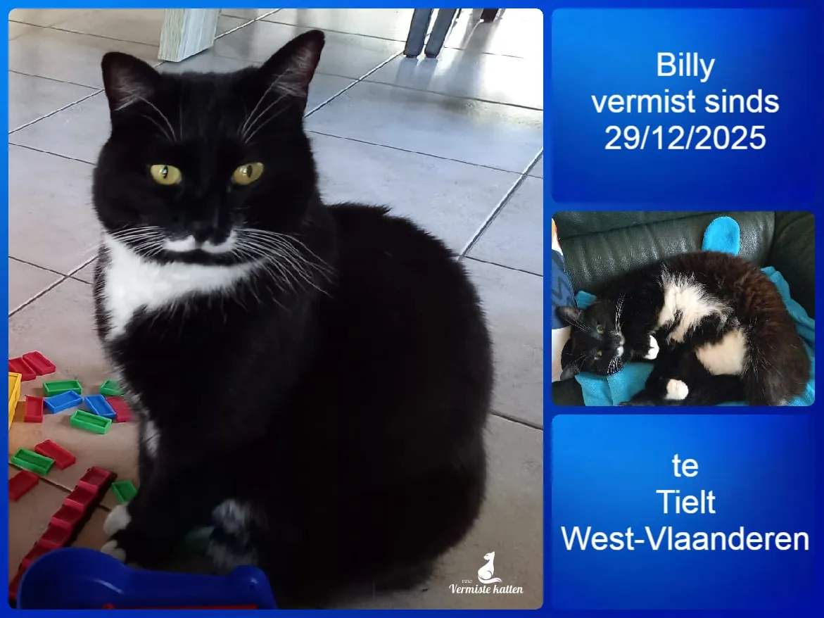 Billy