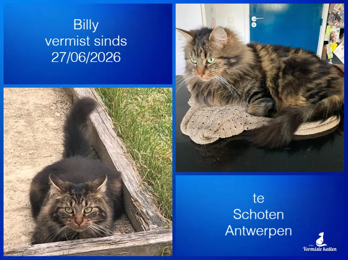 Billy