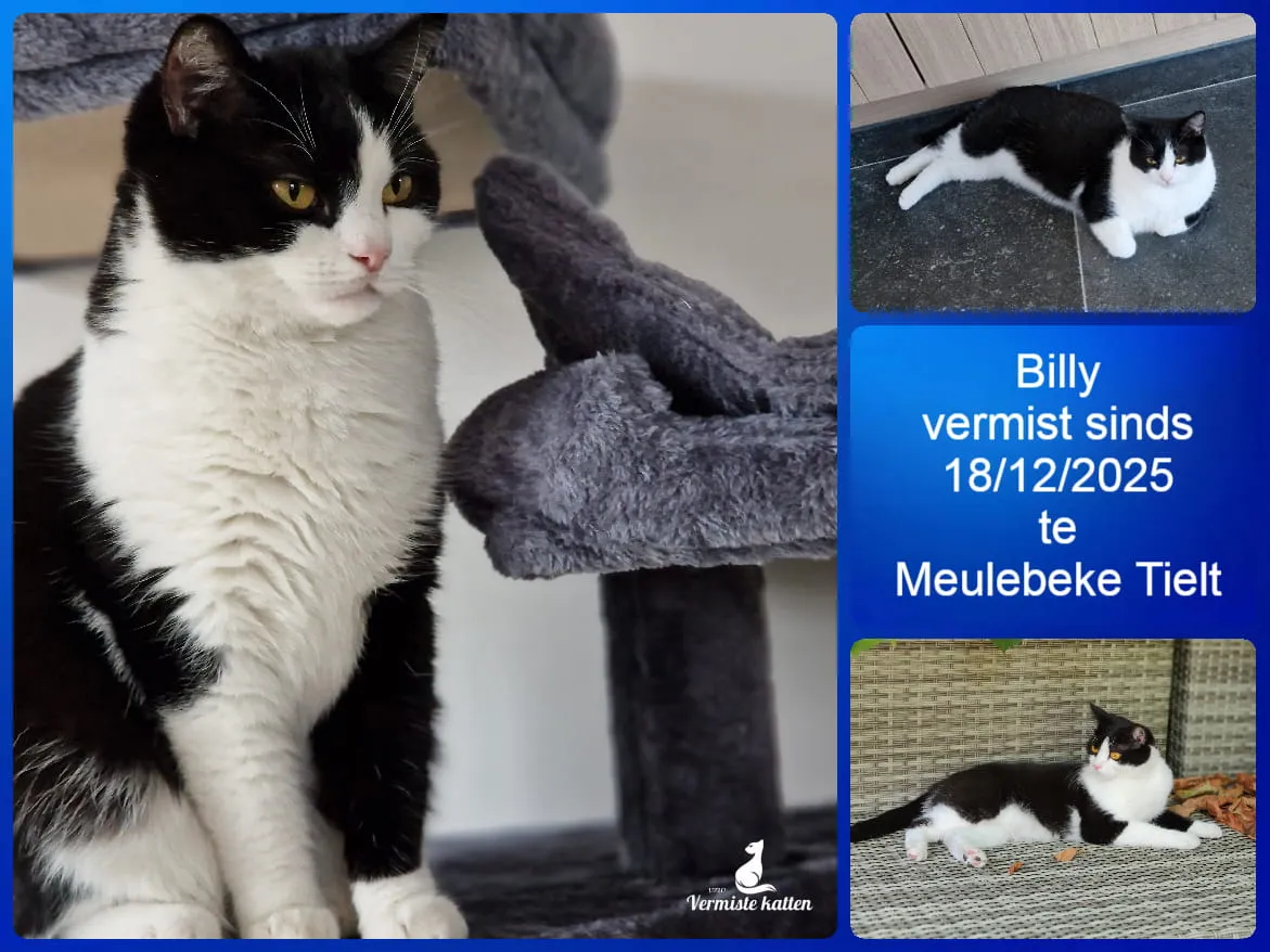 Billy