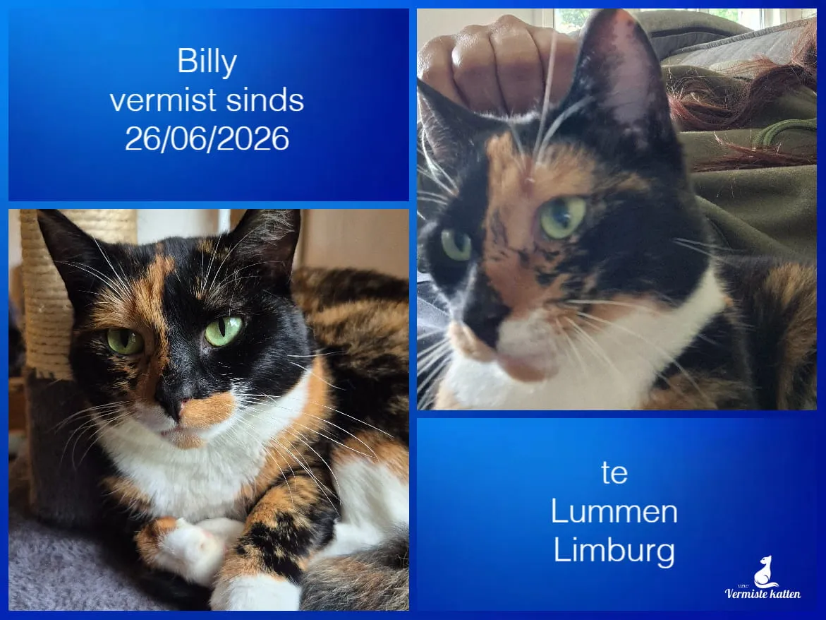 Billy