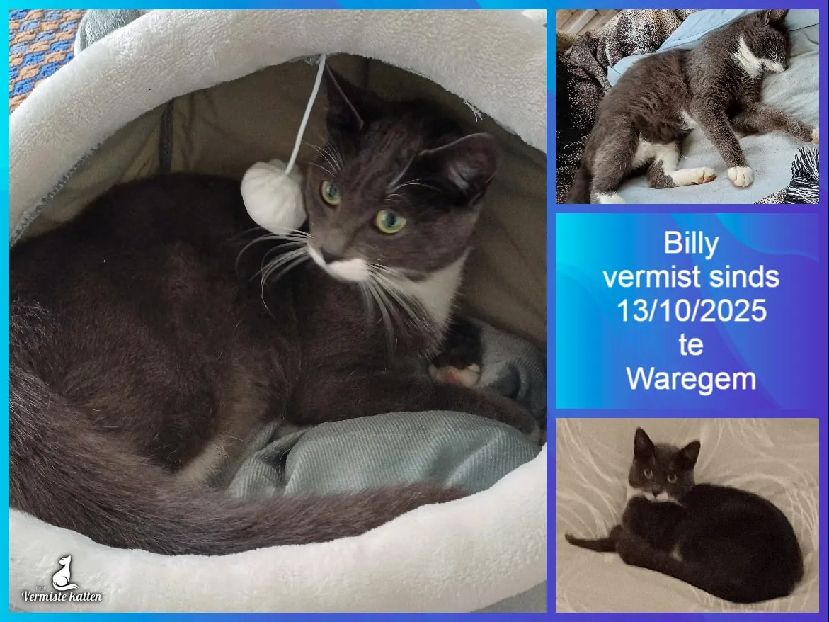 Billy