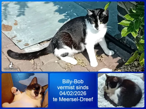 Billy-bob