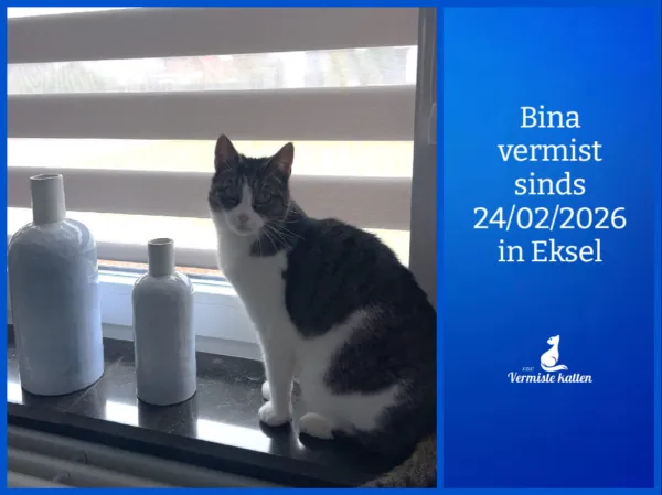 Bina