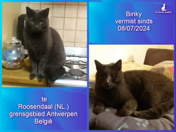Binky