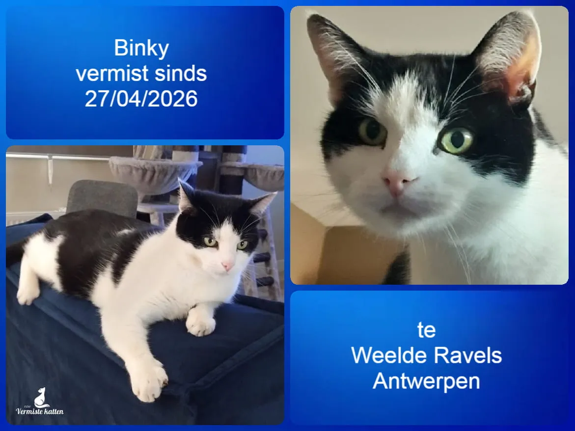 Binky