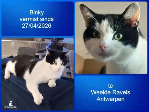 Binky