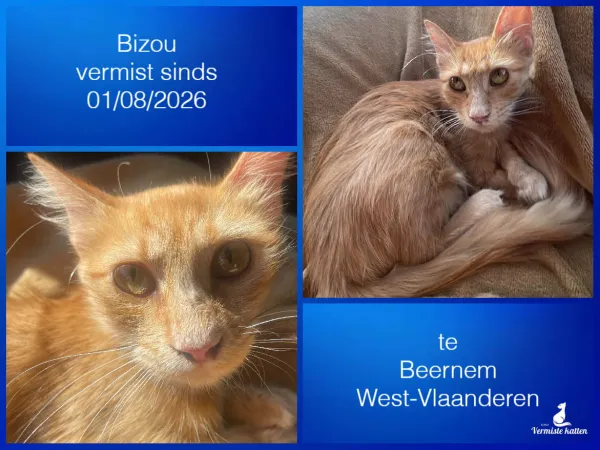 Bizou