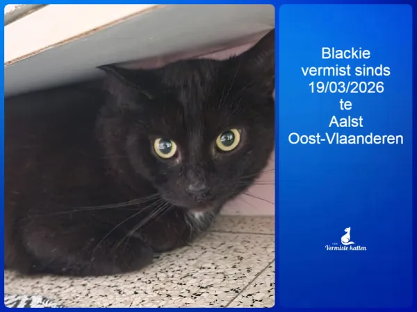 Blackie