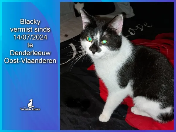 Blacky