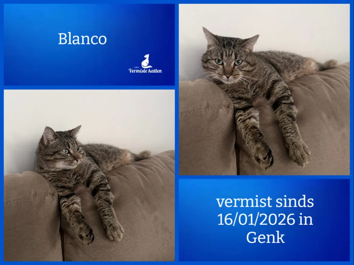 Blanco