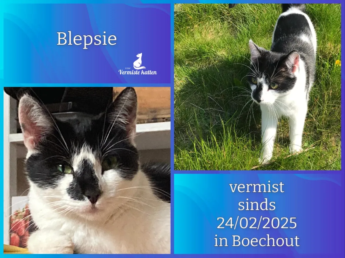 Blepsie