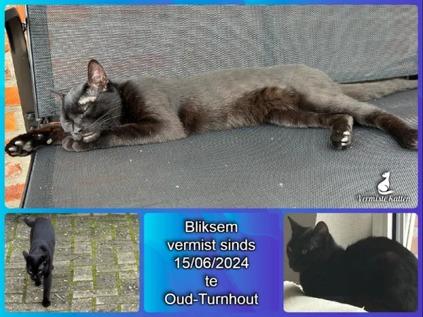 Bliksem
