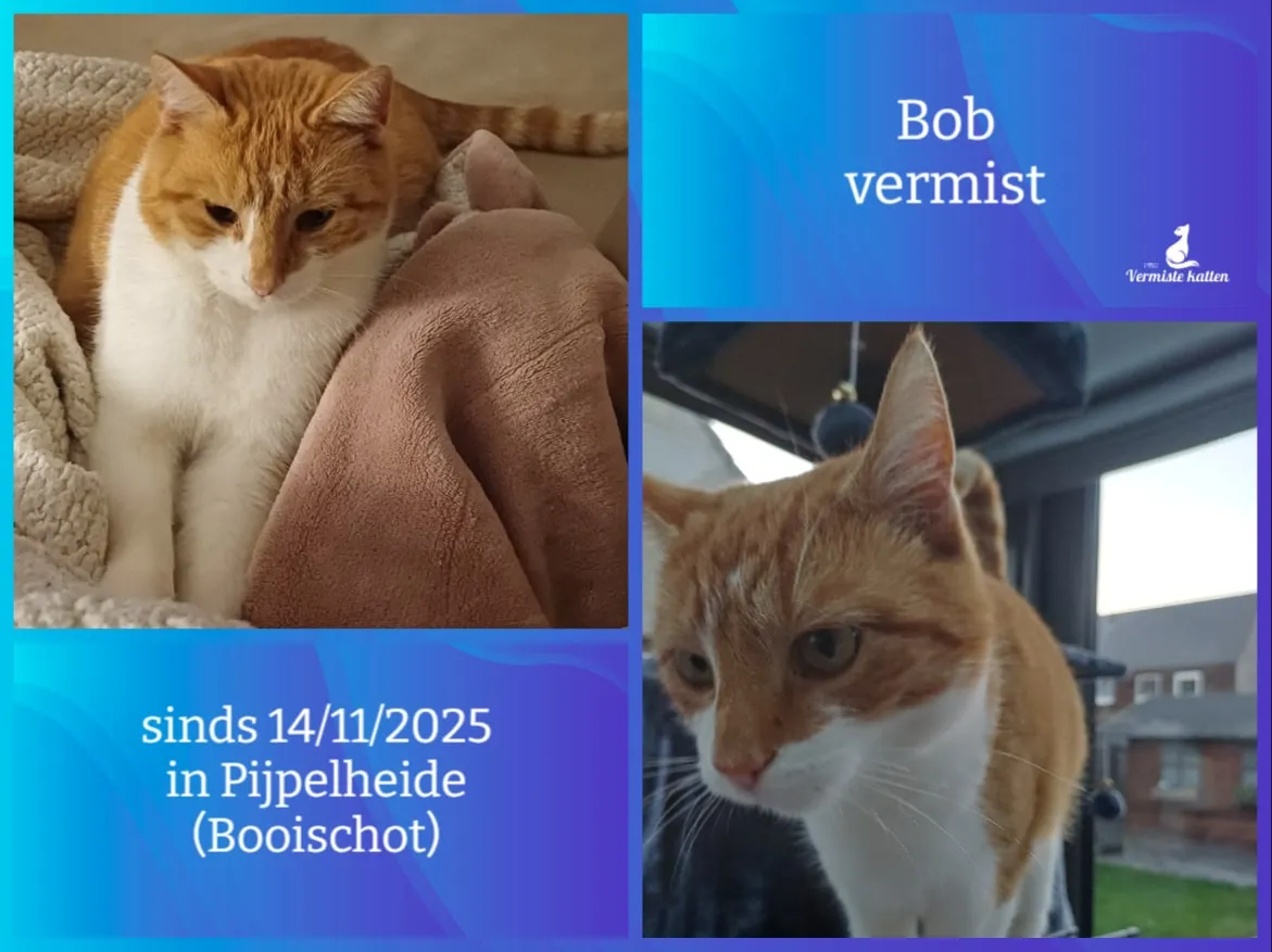 Bob