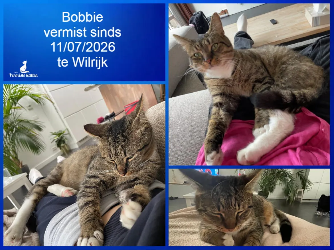Bobbie